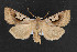  ( - NOC14329)  @13 [ ] Unspecified (default): All Rights Reserved  Unspecified Unspecified
