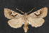  ( - NOC14330)  @13 [ ] Unspecified (default): All Rights Reserved  Unspecified Unspecified