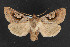  ( - NOC14331)  @13 [ ] Unspecified (default): All Rights Reserved  Unspecified Unspecified