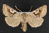  ( - NOC14332)  @13 [ ] Unspecified (default): All Rights Reserved  Unspecified Unspecified