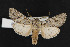  ( - NOC14338)  @13 [ ] Unspecified (default): All Rights Reserved  Unspecified Unspecified