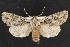  ( - NOC14339)  @14 [ ] Unspecified (default): All Rights Reserved  Unspecified Unspecified