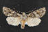  ( - NOC14340)  @14 [ ] Unspecified (default): All Rights Reserved  Unspecified Unspecified