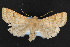  ( - NOC14344)  @14 [ ] Unspecified (default): All Rights Reserved  Unspecified Unspecified