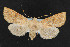  ( - NOC14345)  @14 [ ] Unspecified (default): All Rights Reserved  Unspecified Unspecified