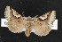  ( - NOC14351)  @11 [ ] Unspecified (default): All Rights Reserved  Unspecified Unspecified