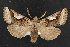  ( - NOC14354)  @14 [ ] Unspecified (default): All Rights Reserved  Unspecified Unspecified
