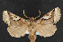  ( - NOC14355)  @11 [ ] Unspecified (default): All Rights Reserved  Unspecified Unspecified