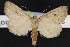  ( - NOC14361)  @14 [ ] Unspecified (default): All Rights Reserved  Unspecified Unspecified