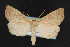  ( - NOC14362)  @14 [ ] Unspecified (default): All Rights Reserved  Unspecified Unspecified