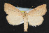  ( - NOC14365)  @14 [ ] Unspecified (default): All Rights Reserved  Unspecified Unspecified