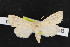 ( - NOC14369)  @14 [ ] Unspecified (default): All Rights Reserved  Unspecified Unspecified