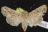  ( - NOC14372)  @14 [ ] Unspecified (default): All Rights Reserved  Unspecified Unspecified