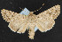  ( - NOC14374)  @14 [ ] Unspecified (default): All Rights Reserved  Unspecified Unspecified