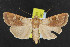  ( - NOC14381)  @13 [ ] Unspecified (default): All Rights Reserved  Unspecified Unspecified