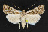  ( - NOC14390)  @14 [ ] Unspecified (default): All Rights Reserved  Unspecified Unspecified