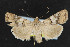  ( - NOC14392)  @13 [ ] Unspecified (default): All Rights Reserved  Unspecified Unspecified