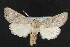  ( - NOC14401)  @14 [ ] Unspecified (default): All Rights Reserved  Unspecified Unspecified