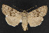  ( - NOC14404)  @14 [ ] Unspecified (default): All Rights Reserved  Unspecified Unspecified