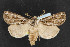  ( - NOC14417)  @13 [ ] Unspecified (default): All Rights Reserved  Unspecified Unspecified