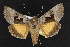  ( - NOC14442)  @14 [ ] Unspecified (default): All Rights Reserved  Unspecified Unspecified