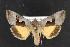  ( - NOC14443)  @14 [ ] Unspecified (default): All Rights Reserved  Unspecified Unspecified