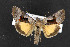 ( - NOC14444)  @13 [ ] Unspecified (default): All Rights Reserved  Unspecified Unspecified