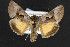  ( - NOC14445)  @13 [ ] Unspecified (default): All Rights Reserved  Unspecified Unspecified