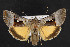  ( - NOC14446)  @13 [ ] Unspecified (default): All Rights Reserved  Unspecified Unspecified