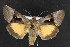  ( - NOC14447)  @12 [ ] Unspecified (default): All Rights Reserved  Unspecified Unspecified