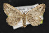  ( - NOC14461)  @12 [ ] Unspecified (default): All Rights Reserved  Unspecified Unspecified