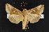  ( - NOC14462)  @13 [ ] Unspecified (default): All Rights Reserved  Unspecified Unspecified
