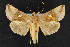  ( - NOC14463)  @13 [ ] Unspecified (default): All Rights Reserved  Unspecified Unspecified