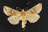  ( - NOC14464)  @13 [ ] Unspecified (default): All Rights Reserved  Unspecified Unspecified