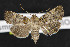  ( - NOC14465)  @13 [ ] Unspecified (default): All Rights Reserved  Unspecified Unspecified