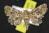  ( - NOC14466)  @13 [ ] Unspecified (default): All Rights Reserved  Unspecified Unspecified