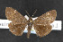  ( - NOC14474)  @13 [ ] Unspecified (default): All Rights Reserved  Unspecified Unspecified