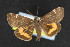  ( - NOC14475)  @12 [ ] Unspecified (default): All Rights Reserved  Unspecified Unspecified