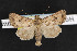 ( - NOC14491)  @11 [ ] Unspecified (default): All Rights Reserved  Unspecified Unspecified