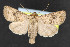  ( - NOC14492)  @11 [ ] Unspecified (default): All Rights Reserved  Unspecified Unspecified