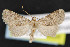  ( - NOC14496)  @14 [ ] Unspecified (default): All Rights Reserved  Unspecified Unspecified