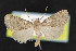  ( - NOC14497)  @13 [ ] Unspecified (default): All Rights Reserved  Unspecified Unspecified