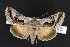  ( - NOC14498)  @12 [ ] Unspecified (default): All Rights Reserved  Unspecified Unspecified