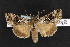  ( - NOC14500)  @13 [ ] Unspecified (default): All Rights Reserved  Unspecified Unspecified