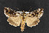  ( - NOC14501)  @13 [ ] Unspecified (default): All Rights Reserved  Unspecified Unspecified