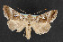  ( - NOC14503)  @12 [ ] Unspecified (default): All Rights Reserved  Unspecified Unspecified