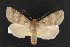  ( - NOC14518)  @12 [ ] Unspecified (default): All Rights Reserved  Unspecified Unspecified
