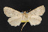  ( - NOC14519)  @12 [ ] Unspecified (default): All Rights Reserved  Unspecified Unspecified