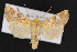  ( - NOC14528)  @14 [ ] Unspecified (default): All Rights Reserved  Unspecified Unspecified