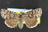  ( - NOC14538)  @11 [ ] Unspecified (default): All Rights Reserved  Unspecified Unspecified